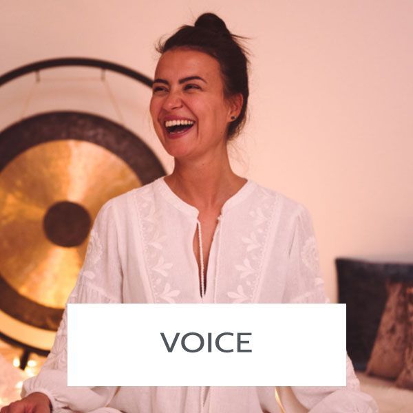 Voice